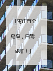 枣庄有个鸟岛，白鹭成群！